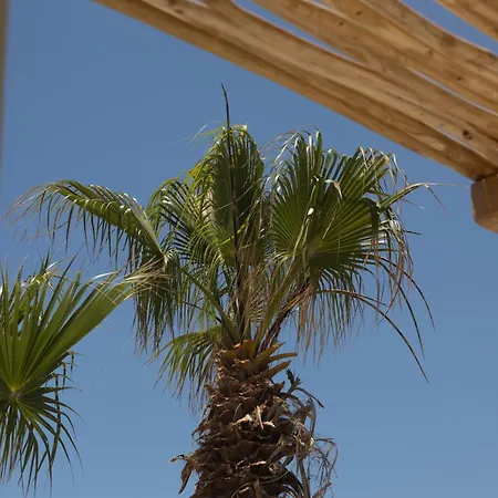Hotel Pelagos Seaside Retreat Naxos